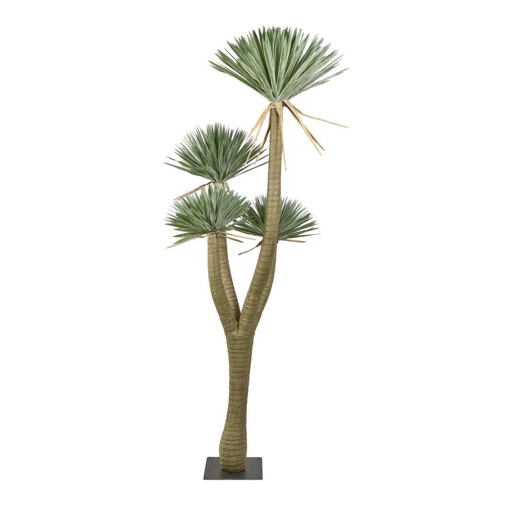 PIANTA YUCCA x 3 CM.305